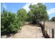 15 Unicorn Street, Wagin WA 6315