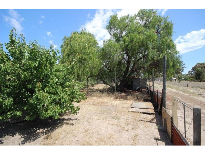 15 Unicorn Street, Wagin WA 6315