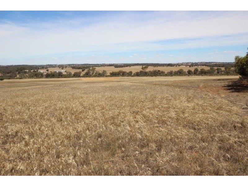 180 Tie Line Road, Boyerine WA 6316