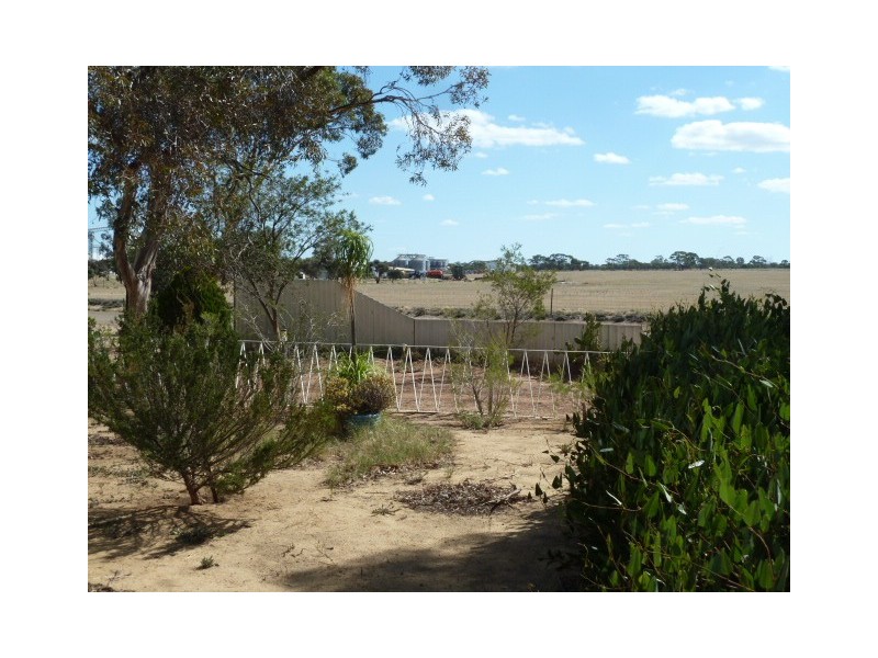 54 Murphy Street, Quairading WA 6383