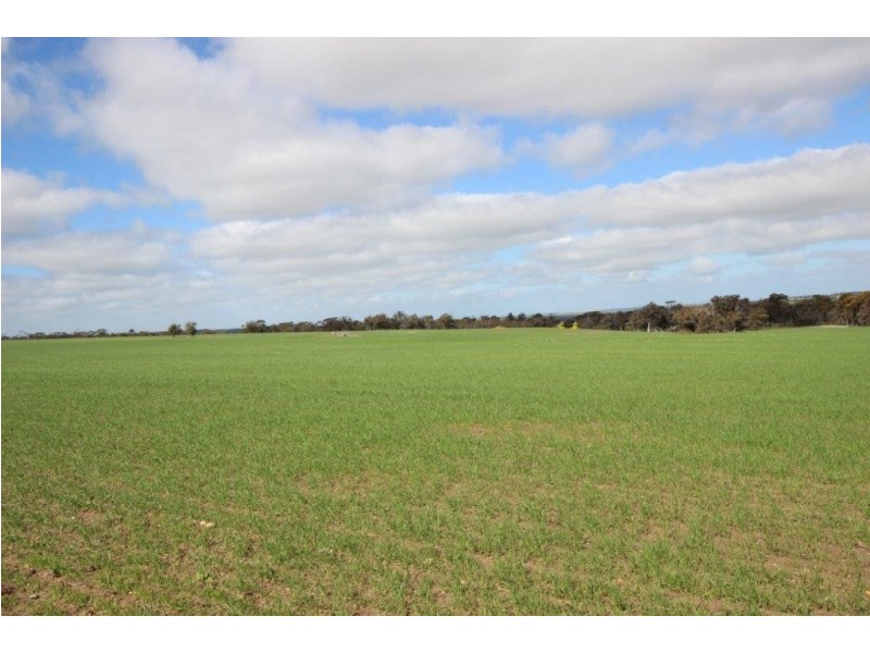 . Dongolocking Road, Wagin WA 6315