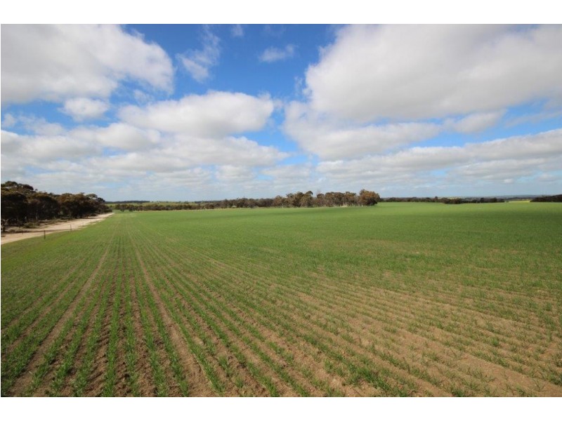 . Dongolocking Road, Wagin WA 6315