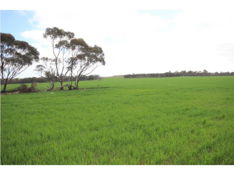 . Dongolocking Road, Wagin WA 6315