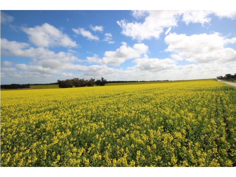 . Dongolocking Road, Wagin WA 6315