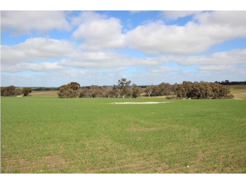 . Dongolocking Road, Wagin WA 6315