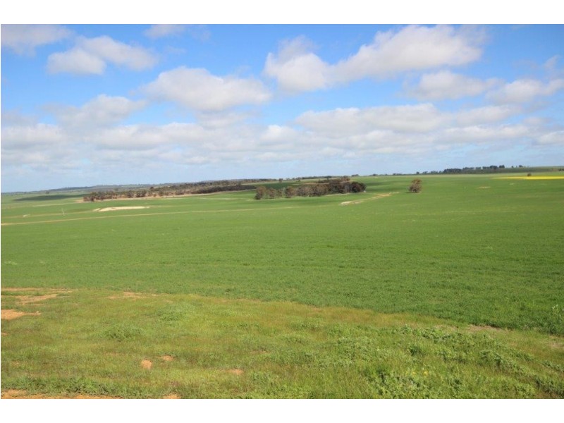 . Dongolocking Road, Wagin WA 6315