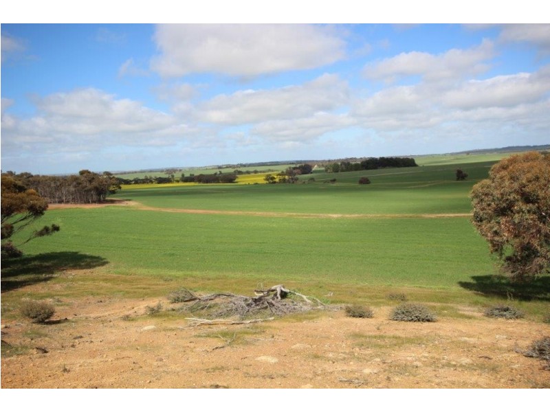 . Dongolocking Road, Wagin WA 6315