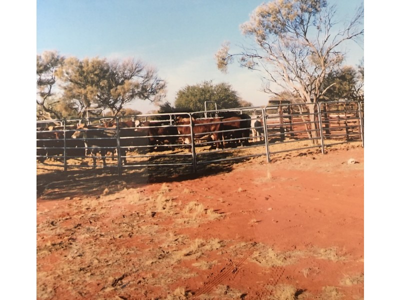 ”Kalli Station”, Cue WA 6640