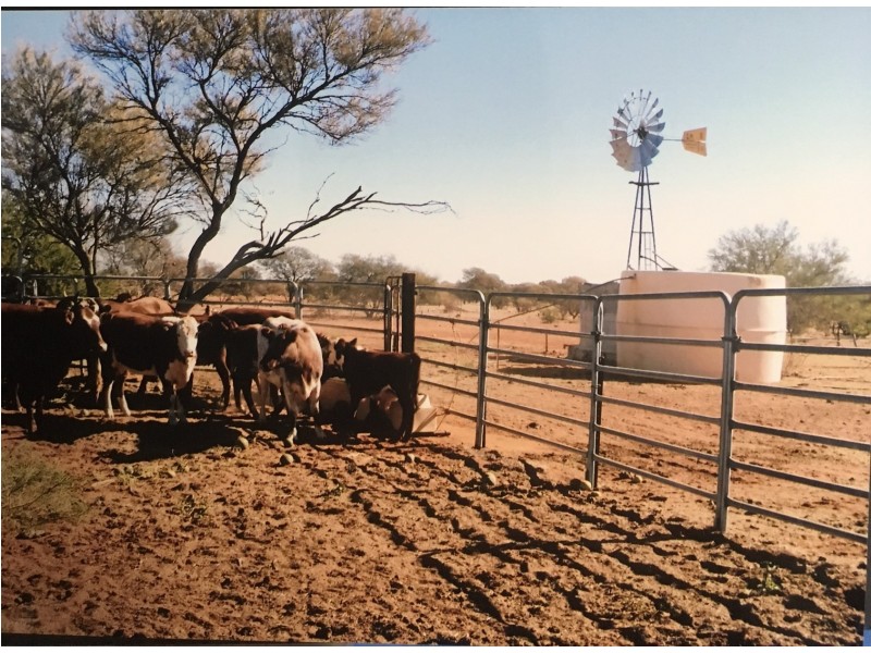 ”Kalli Station”, Cue WA 6640