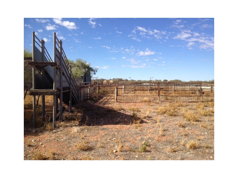 ”Kalli Station”, Cue WA 6640
