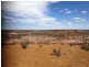 ‘Wandina Station’, Mullewa WA 6630