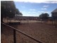 ‘Tallering Station’, Pindar WA 6631