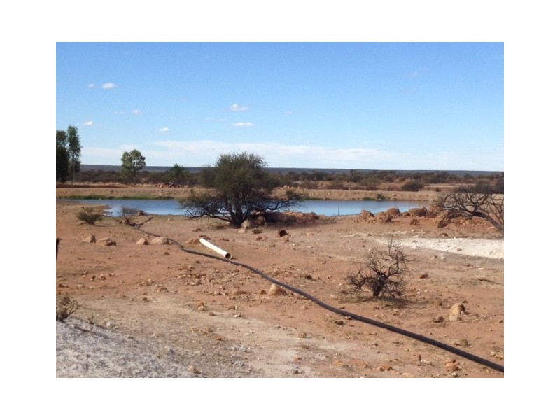 ‘Tallering Station’, Pindar WA 6631