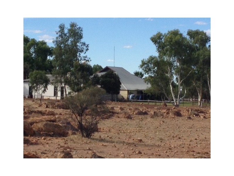 ‘Tallering Station’, Pindar WA 6631