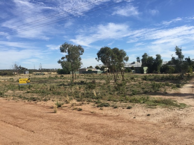 8 Dowall Street, Minnivale WA 6462