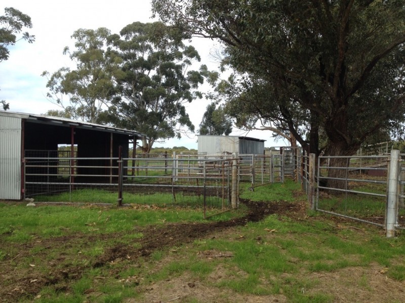 Lot 98 and 99 Robinson Road, Coolup WA 6214
