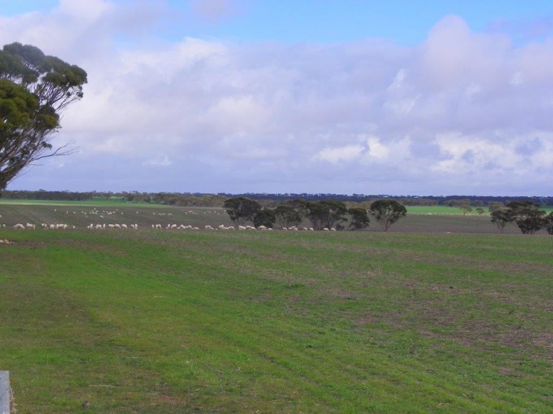 ‘Mallee Creek’ 5270 Rabbit Proof Fence Road, Ongerup WA 6336