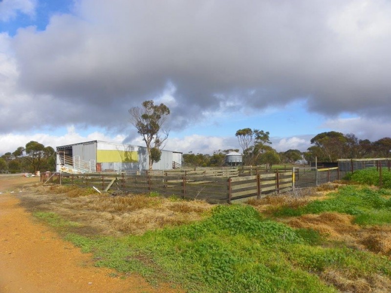 ‘Mallee Creek’ 5270 Rabbit Proof Fence Road, Ongerup WA 6336