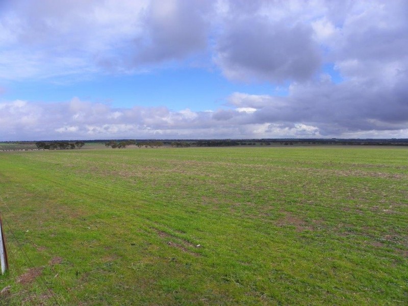 ‘Mallee Creek’ 5270 Rabbit Proof Fence Road, Ongerup WA 6336