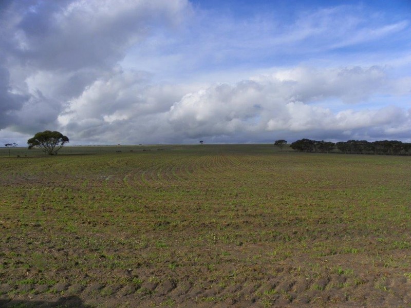 ‘Mallee Creek’ 5270 Rabbit Proof Fence Road, Ongerup WA 6336