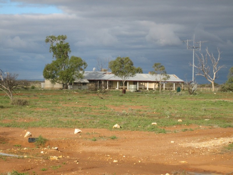 . ‘Mellenbye Station’, Yalgoo WA 6635