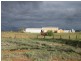. ‘Mellenbye Station’, Yalgoo WA 6635