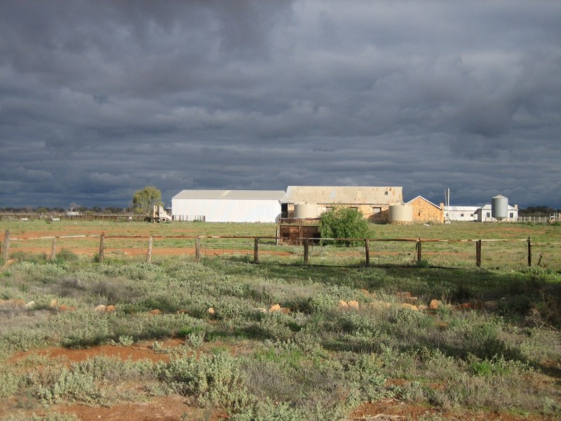 . ‘Mellenbye Station’, Yalgoo WA 6635