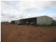 . ‘Mellenbye Station’, Yalgoo WA 6635