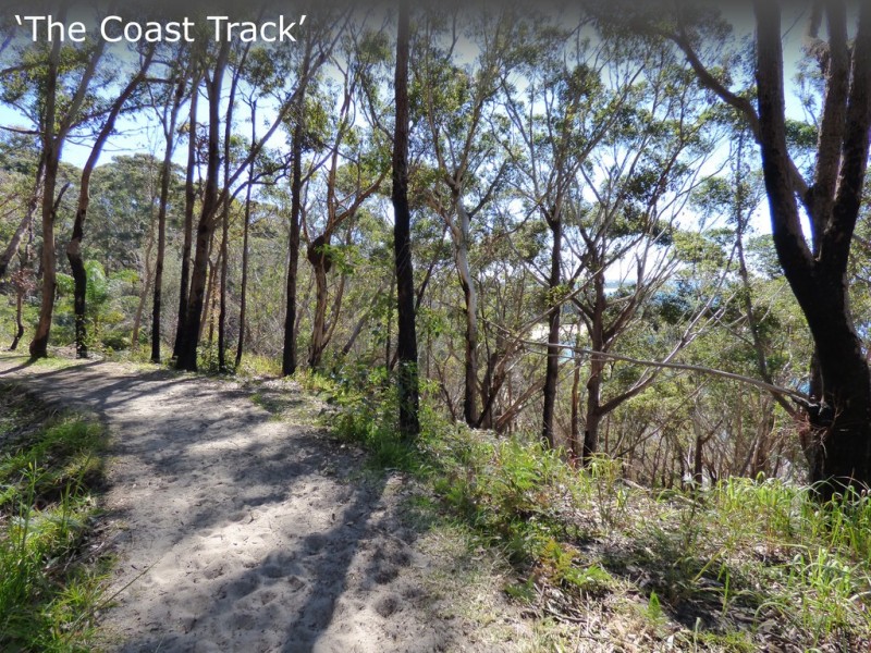 57 Lakin Street, Bateau Bay NSW 2261