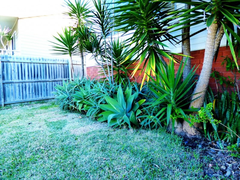 60 Sierra Avenue, Bateau Bay NSW 2261