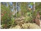 12 Northview Drive, Bateau Bay NSW 2261