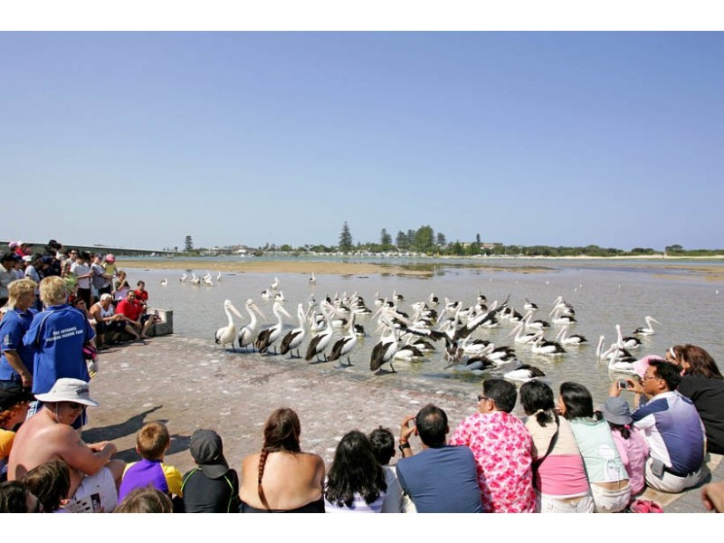 7 Bent Street, The Entrance NSW 2261