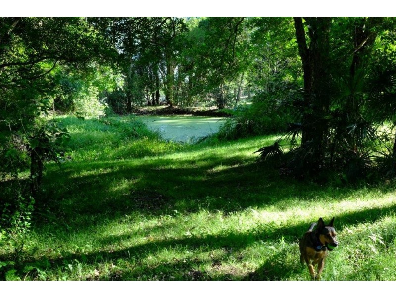 Lot 10 Hicks Lane, Tumbi Umbi NSW 2261