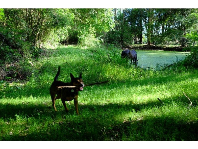 Lot 10 Hicks Lane, Tumbi Umbi NSW 2261