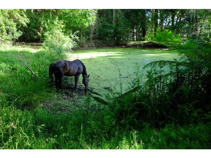 Lot 10 Hicks Lane, Tumbi Umbi NSW 2261