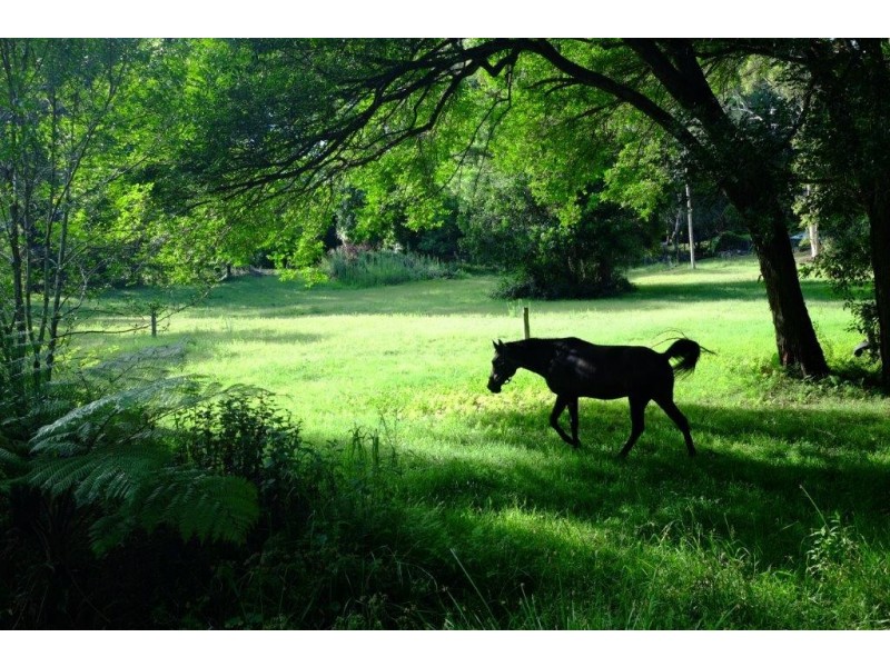 Lot 10 Hicks Lane, Tumbi Umbi NSW 2261