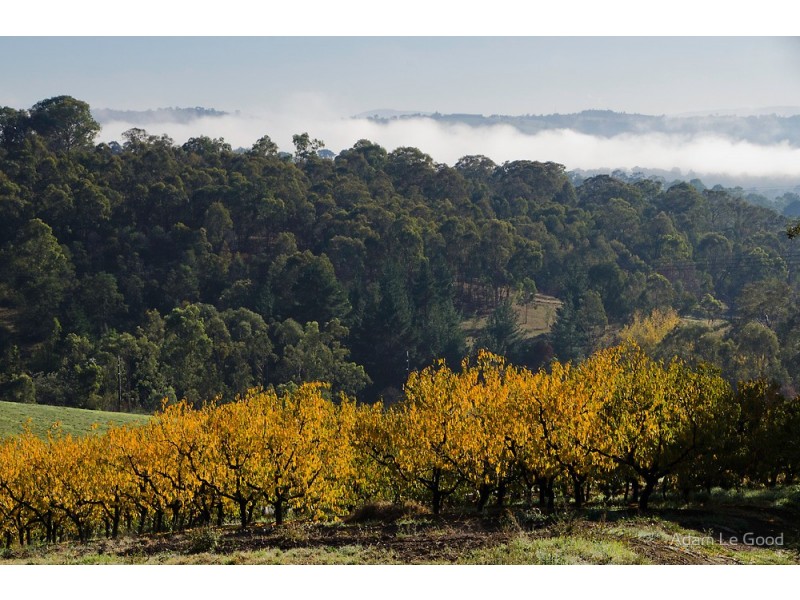 281 Tindals Road, Warrandyte VIC 3113