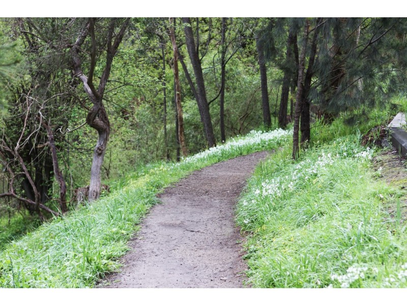 281 Tindals Road, Warrandyte VIC 3113