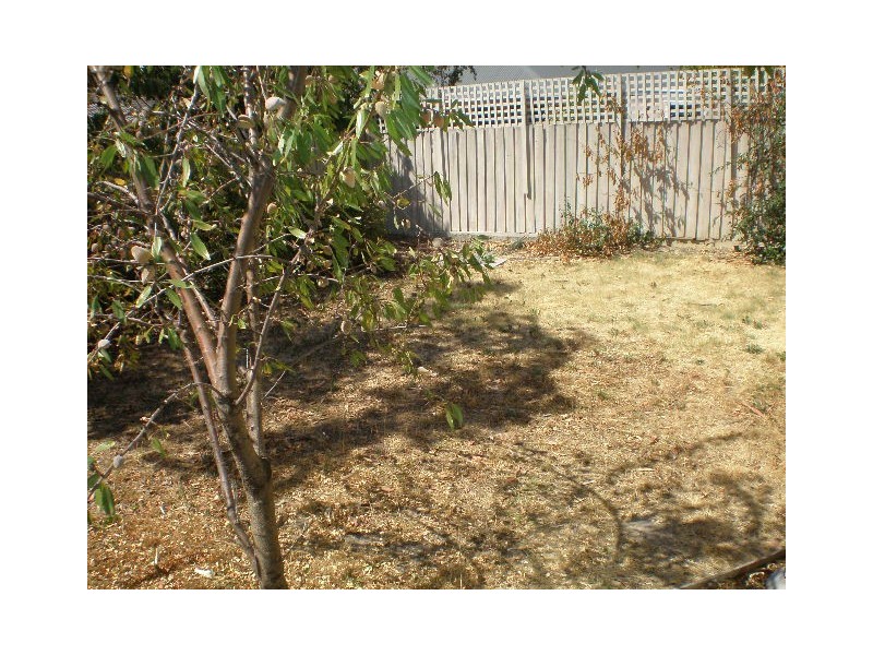 2/57 Surrey Road, Blackburn North VIC 3130