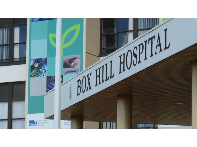 103/2-4 Archibald Street, Box Hill VIC 3128