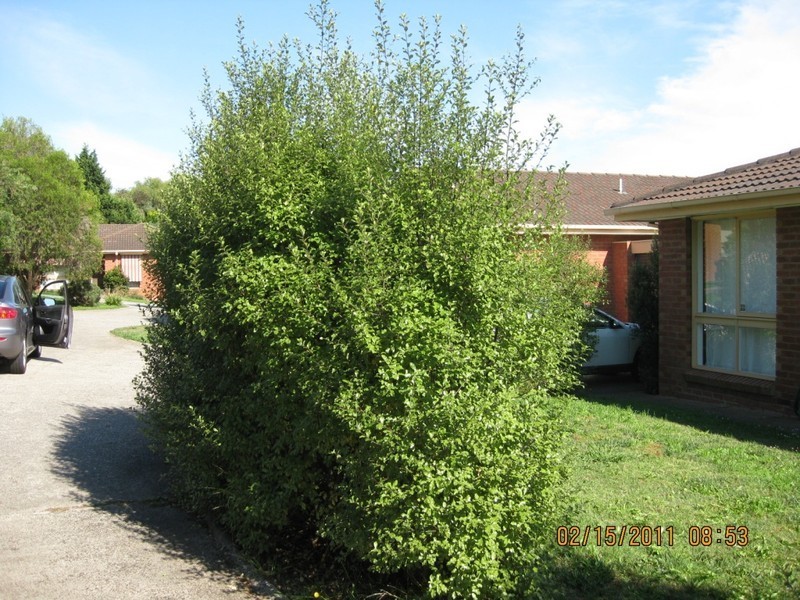 12/411 Church Road, Templestowe VIC 3106