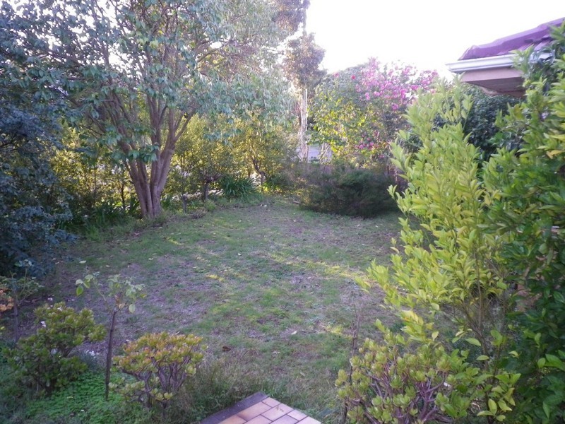 10 Peter Street, Doncaster East VIC 3109