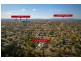 47 Warrigal Rd, Surrey Hills VIC 3127