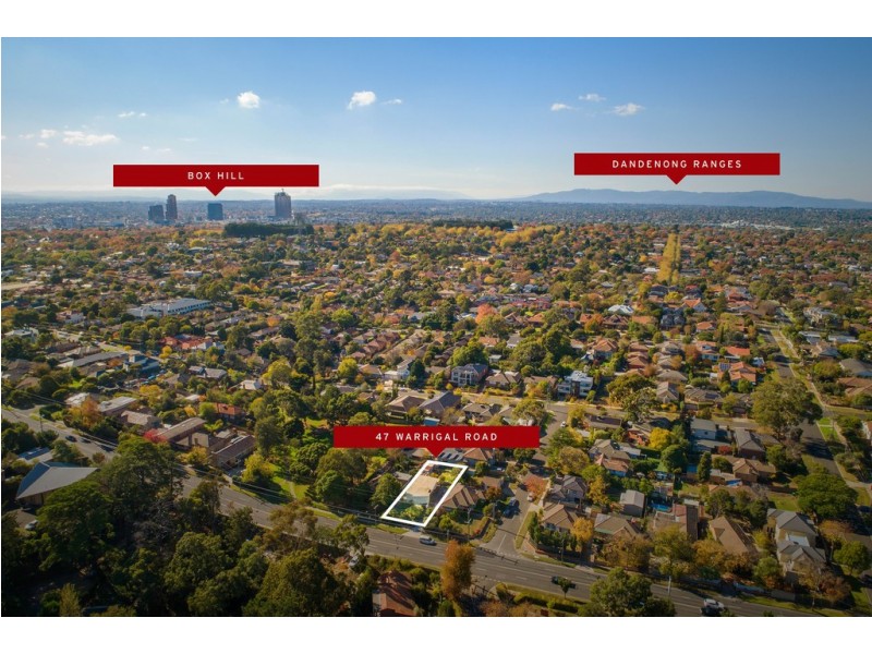 47 Warrigal Rd, Surrey Hills VIC 3127
