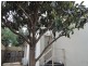 69 Wetherby Road, Doncaster VIC 3108