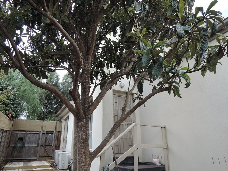 69 Wetherby Road, Doncaster VIC 3108