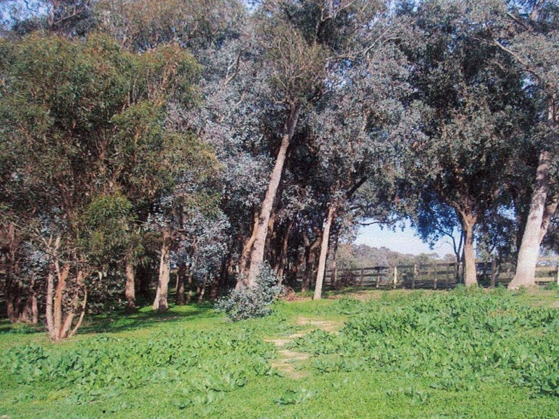 Park Orchards VIC 3114