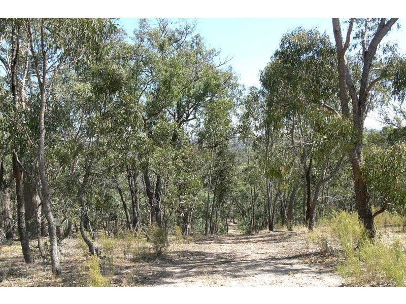 Park Orchards VIC 3114