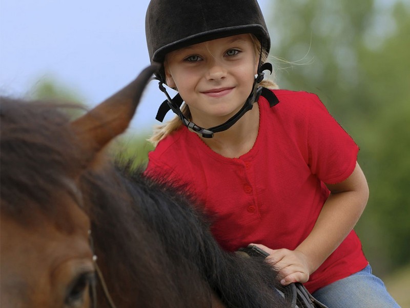 20-26 Stintons Road, Park Orchards VIC 3114