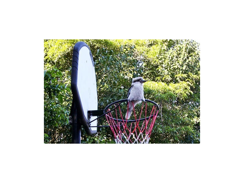 11 Rangeview Road, Donvale VIC 3111